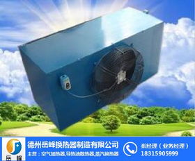 新鄉(xiāng)導(dǎo)熱油暖風(fēng)機(jī) 岳峰換熱器直銷(xiāo)廠(chǎng)家 導(dǎo)熱油暖風(fēng)機(jī)廠(chǎng)家